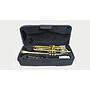 Trompete Shelter SFT6418l Sib Com Case