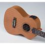 Ukulele Strinberg Tenor Eletrico UK06TE MGS Fosco Com Capa 11536