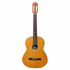 Violao Giannini Performance Plus N-17 N Classico Eletroacustico Nylon Natural Brilhante
