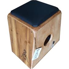 Cajon Alle Es40 Duplo Inclinado Eletroacustico