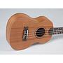 Ukulele Strinberg Concert Acustico UK06C MGS Fosco Com Capa 10652