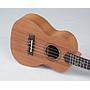 Ukulele Strinberg Concert Acustico UK06C MGS Fosco Com Capa 10652