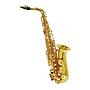 Sax Alto Shelter SFT6430I Laqueado Com Case