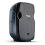 Caixa Ativa WLS S10 10P 100 Watts 8 Ohms Controle Remoto FM USB SD Card Bluetooth